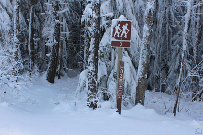 Here's the trailhead!