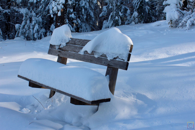 Nobody has been around since the first snow!